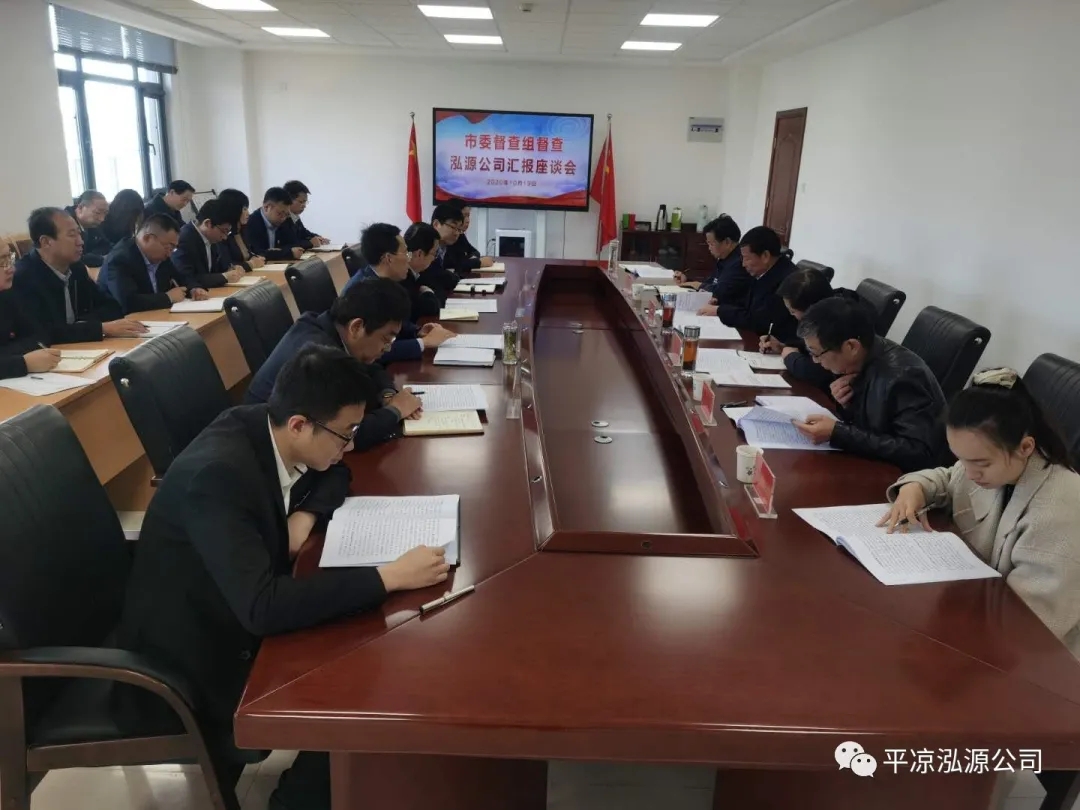 市委辦公室、市政府國資委督查泓源公司工作(圖4)